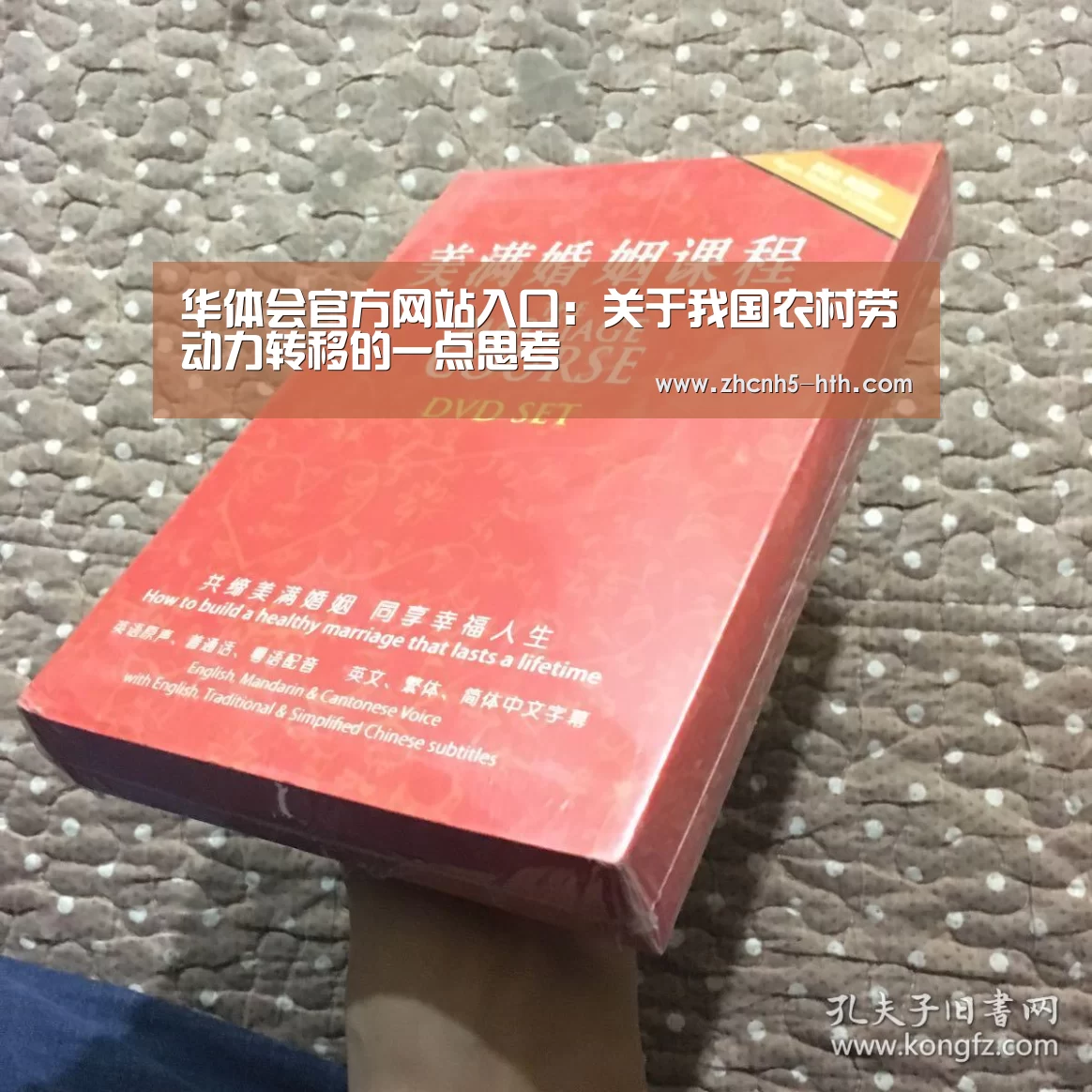 华体会官方网站入口:关于我国农村劳动力转移的一点思考(图3) 华体会官方平台