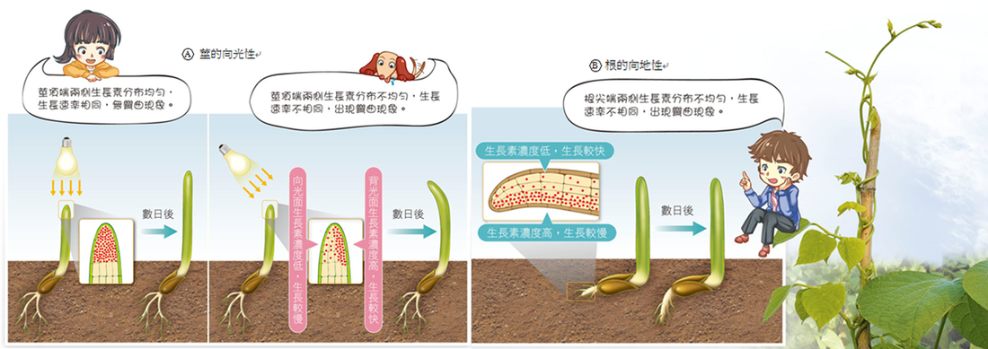 华体会官网下载