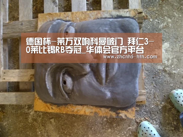 德国杯-莱万双响科曼破门 拜仁3-0莱比锡RB夺冠_华体会官方平台(图3) 华体会官网下载