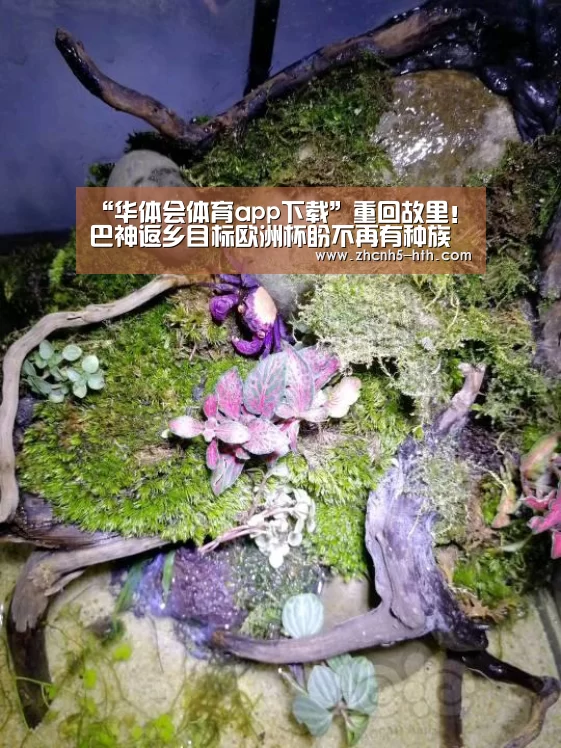 “华体会体育app下载”重回故里！巴神返乡目标欧洲杯盼不再有