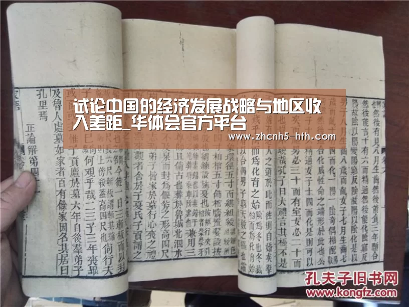 试论中国的经济发展战略与地区收入差距_华体会官方平台