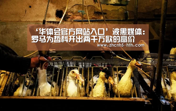 ‘华体会官方网站入口’波黑媒体:罗马为哲科开出两千万欧的高价(图3) 华体会体育app下载